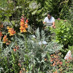 Thuya Garden and Lodge