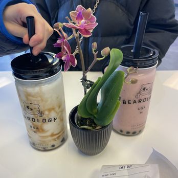 Bearology - Bubble Tea Near Me - Vernon Hills, Illinois Bearology - Bubble Tea Near Me - Vernon Hills, Illinois