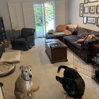Roy's Woodcraft Flooring - Before with carpet. - Flooring Near Me - San Jose, California