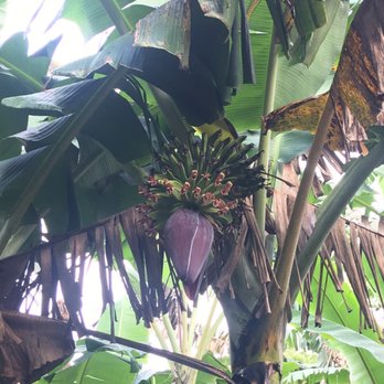 Hike Maui - Tours Near Me - Kahului, Hawaii