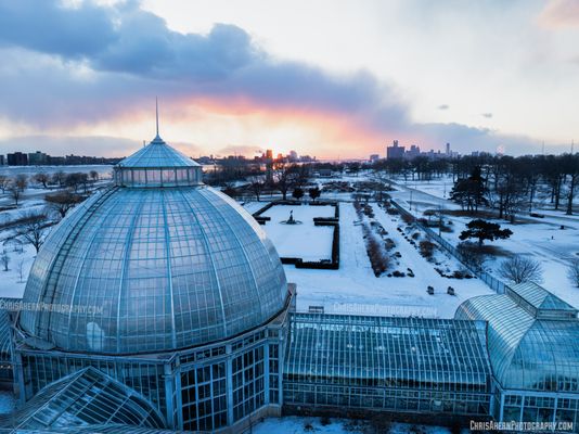 Anna Scripps Whitcomb Conservatory by null
