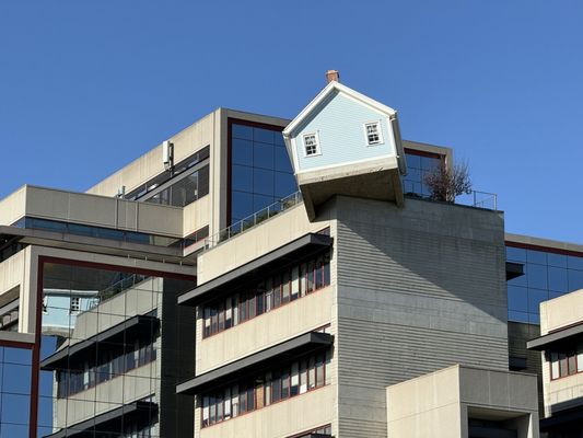 University of California San Diego by null