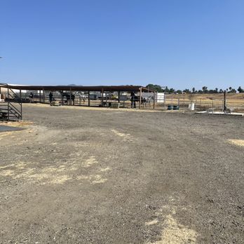 Rancho Vet Tack Feed & Supply - Livestock Feed & Supply Near Me - Hemet, California Rancho Vet Tack Feed & Supply - Livestock Feed & Supply Near Me - Hemet, California