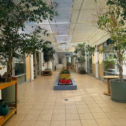 Maple Tree Academy - Santa Monica