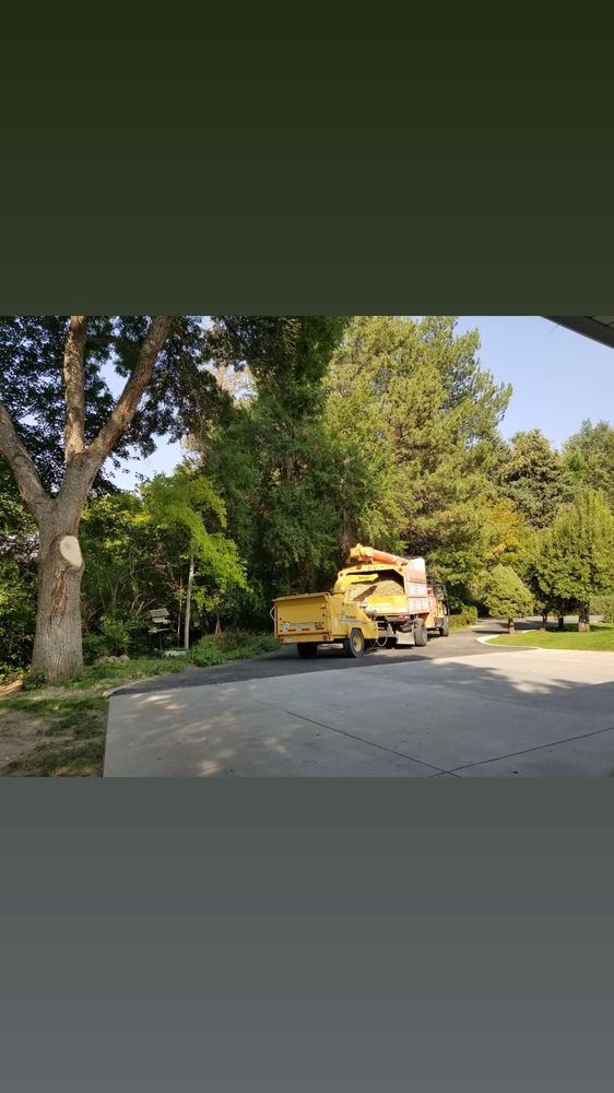 Grizzly's Tree Service & Landscaping - tree service in Salt Lake City, UT