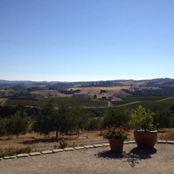 Central Coast Wine Tour Adventures - view from olive oil tasting - Wine Tours Near Me