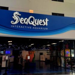 SeaQuest - Las Vegas - Fun time at Seaquest!