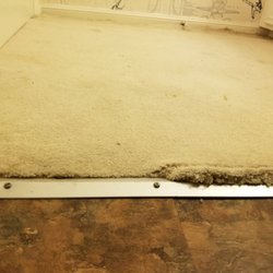 Mr.Steamer Carpet Cleaner