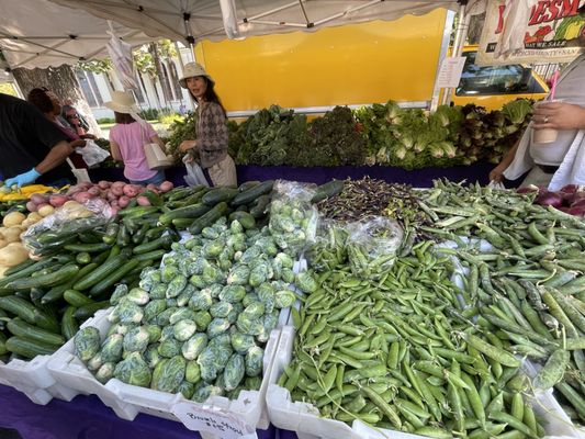 Modesto Certified Farmers' Market by null