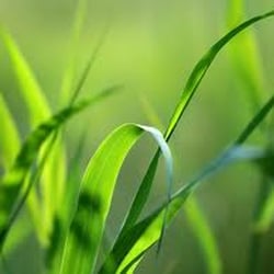 Clarity Wellness Spa - "Tension is who you think you should be, relaxation is who you are" ~ Chinese Proverb