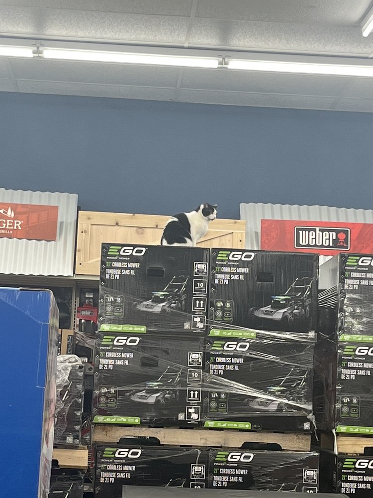 Lenoch & Cilek Ace Hardware Image