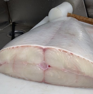 Avenue U Fish Market by null