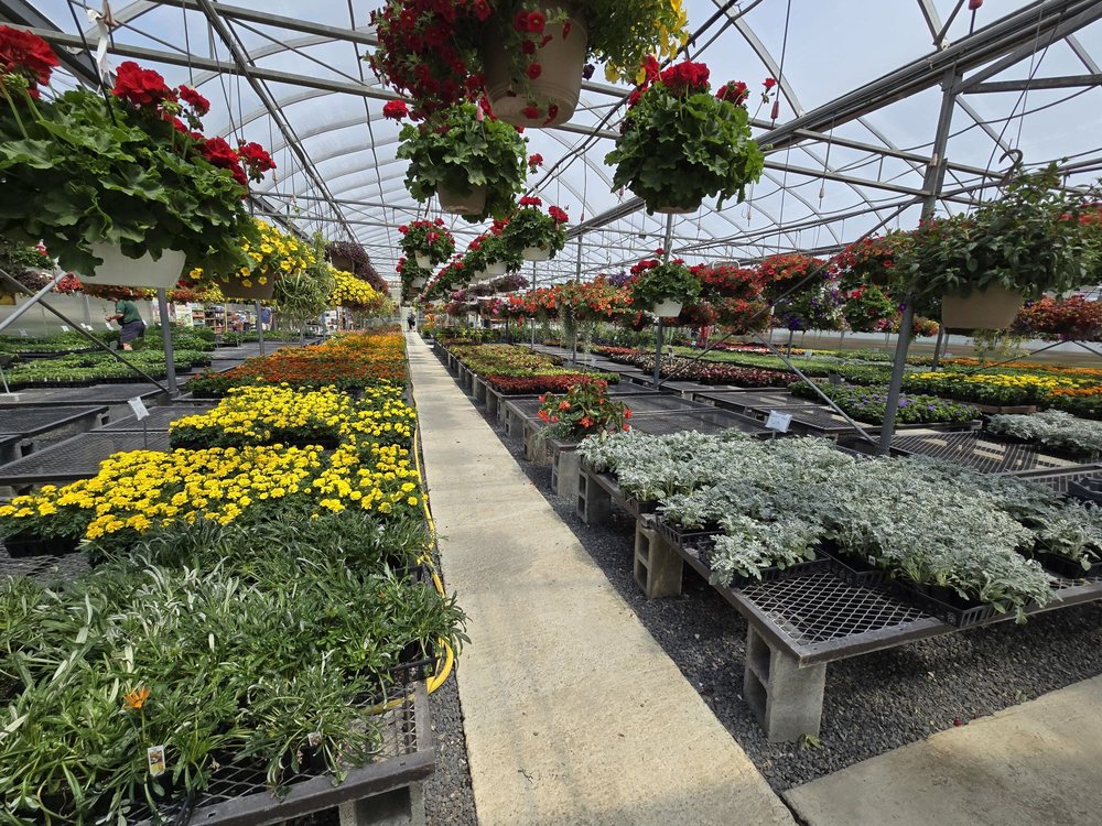 TAYLOR’S GREENHOUSE Updated September 2024 265 Fairgrounds Rd