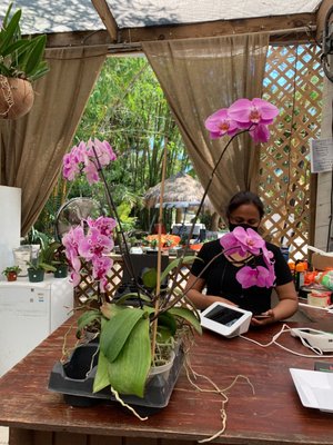 BAMBOO AND ORCHID GARDENS - Updated January 2025 - 382 Photos & 55