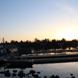 Picnic Island Resort