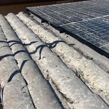 Burns Pest Elimination - Pest Control Near Me - Las Vegas, Nevada