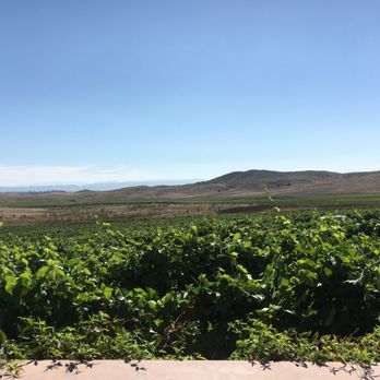 Doffo Wines - Wineries Near Me - Temecula, California