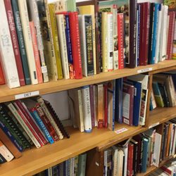 Bridgewater Mill thrift store - Tons of books.