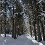 Photo of Flying J Ranch Park