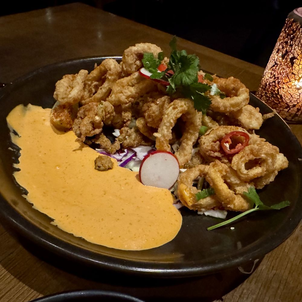 Coasterra - Crispy Calamari - Mexican Near Me - San Diego, California Coasterra - Crispy Calamari - Mexican Near Me - San Diego, California