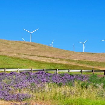 Linden Ranch Wind Farm - Landmarks & Historical Buildings Near Me - Goldendale, Washington Linden Ranch Wind Farm - Landmarks & Historical Buildings Near Me - Goldendale, Washington