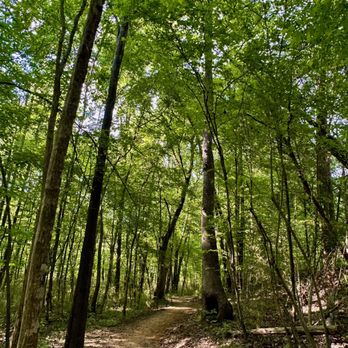 Hector H Henry II Greenway - Hiking Near Me - Concord, North Carolina