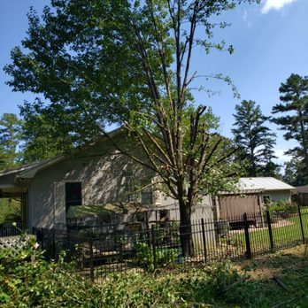 Little Joe's Tree Service - Satisfied customer - Tree Services Near Me Little Joe's Tree Service - Satisfied customer - Tree Services Near Me