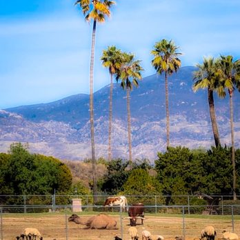 Park Hill Animal Park - Zoos Near Me - Hemet, California Park Hill Animal Park - Zoos Near Me - Hemet, California
