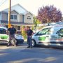 Bugging Out Termite & Pest Control