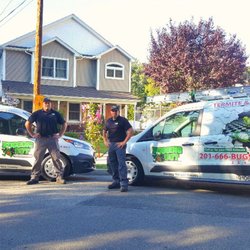 Bugging Out Termite & Pest Control