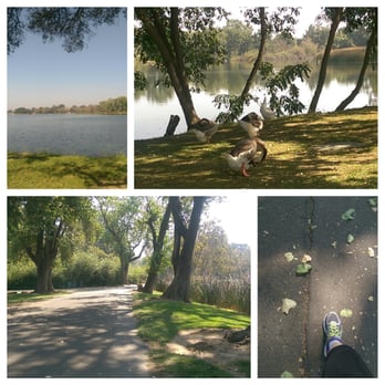 Lodi Lake Nature Trail - Parks Near Me - Lodi, California