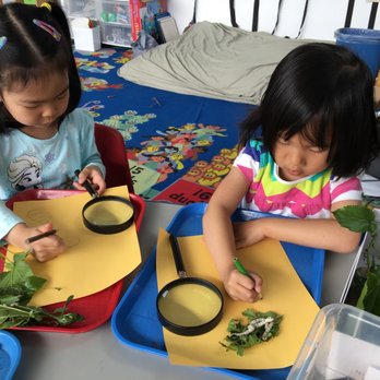 GreenLeaf School - Observe and draw - Preschools Near Me - Sunnyvale, California