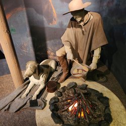 Orange County Regional History Center - Even the dog is weird.