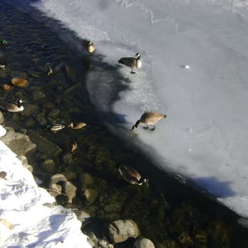 Elbow River - Parks Near Me Elbow River - Parks Near Me