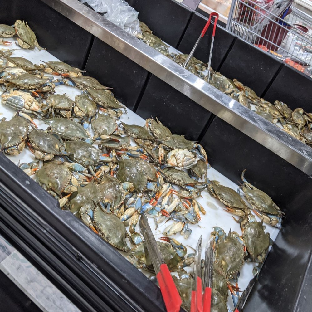 K Market International - Fresh crabs - International Grocery Near Me - Annandale, Virginia