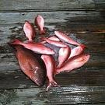 Foley Fish - Seafood Markets Near Me - Foley, Alabama