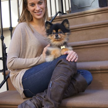 Shelby Semel Dog Training - Pet Training Near Me Shelby Semel Dog Training - Pet Training Near Me