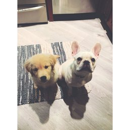 Pups that love pup cones Pups that love pup cones