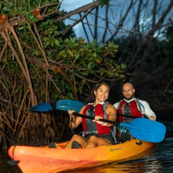 Kayaking Puerto Rico