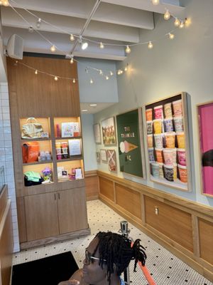 Jeni's Splendid Ice Creams by null