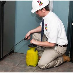 Petty Pest Control