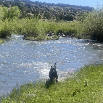 X Diamond Ranch - Walked down to the river behind the ruins. - Venues & Event Spaces Near Me - Eagar, Arizona