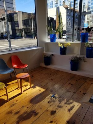 Based General Store by null