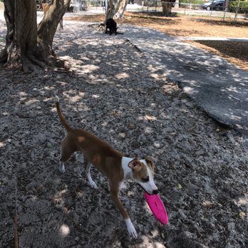 Brohard Paw Park & Beach - The beach access is from the big dog park - Dog Parks Near Me - Venice, Florida