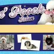 Lisa S Fabulous Paws 30 Photos Pet Groomers 7155 Jorgensen
