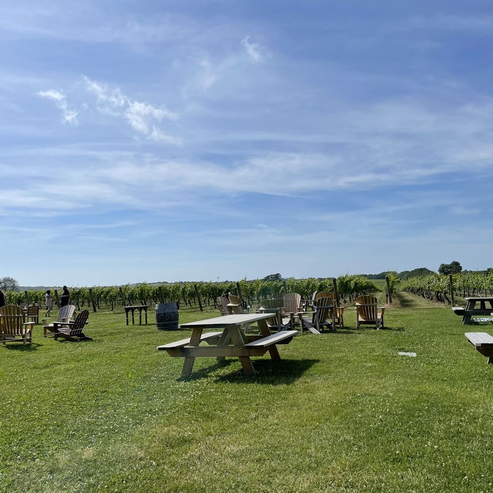 Palmer Vineyards - Wineries Near Me - Aquebogue, New York Palmer Vineyards - Wineries Near Me - Aquebogue, New York