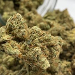 Altadena All Stars - Best weed in Pasadena