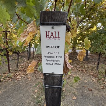 HALL Wines - Vine sign - Wineries Near Me - Saint Helena, California