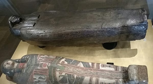 Great North Museum: Hancock by null