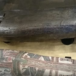 Great North Museum: Hancock